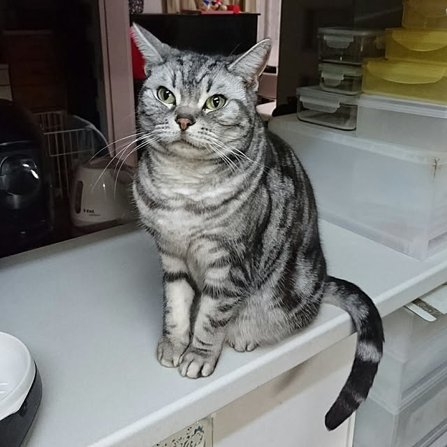 ronさんの実例写真