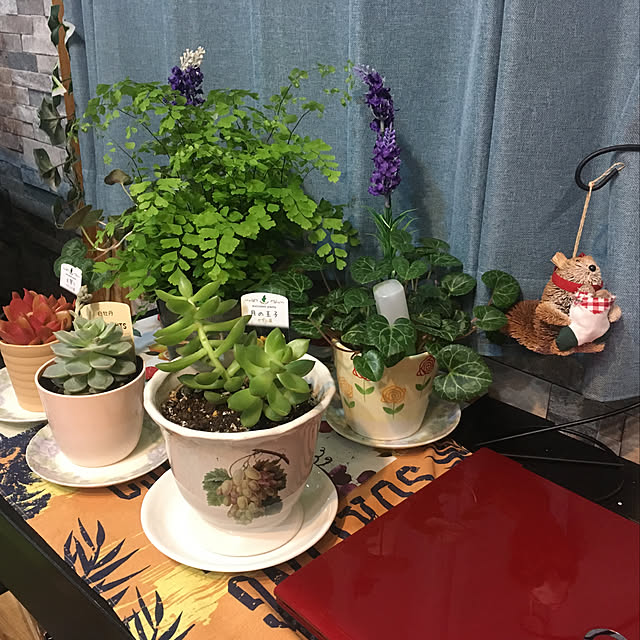 tututu0204さんの実例写真