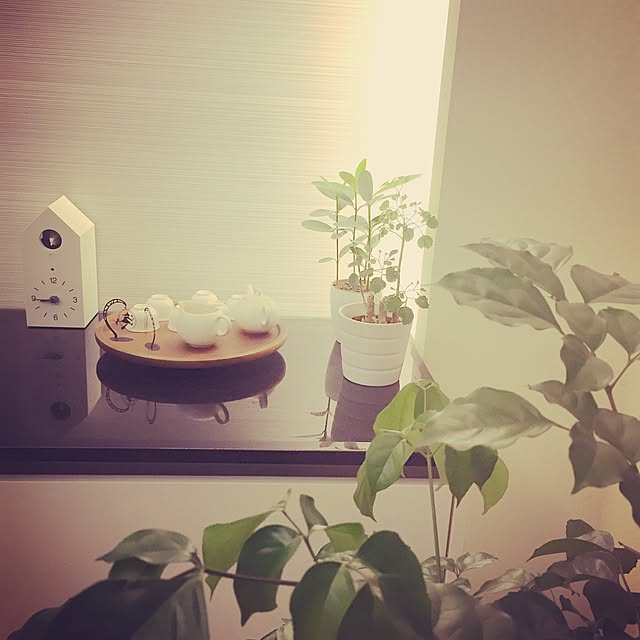 windowsericsさんの実例写真