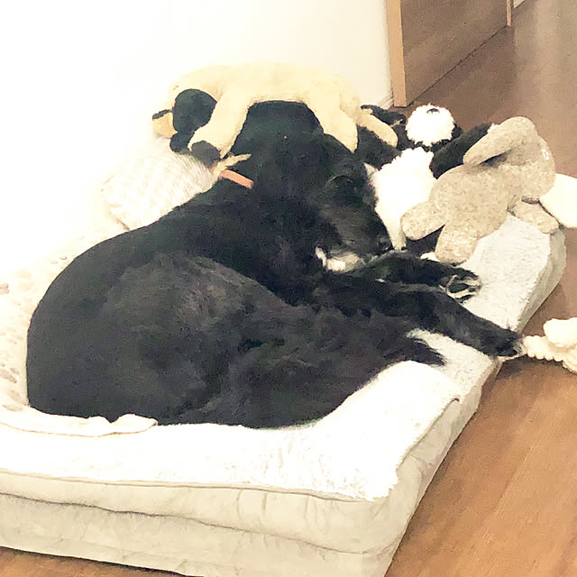 tomoさんの部屋