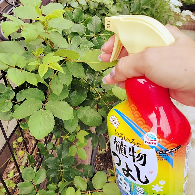 mimi828さんの部屋