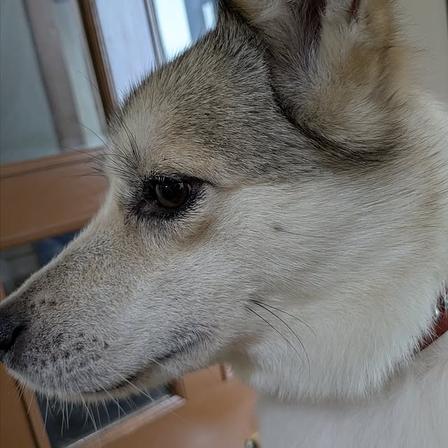 asaさんの部屋