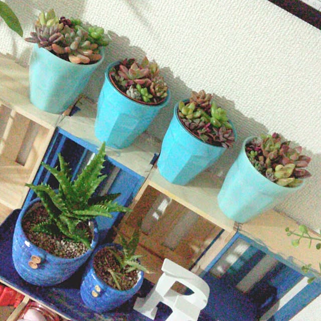rk5kuuさんの実例写真