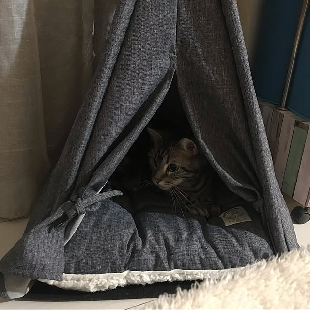 KotarouKunさんの実例写真
