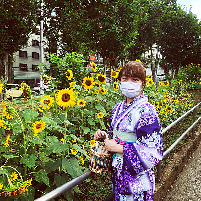 実例写真