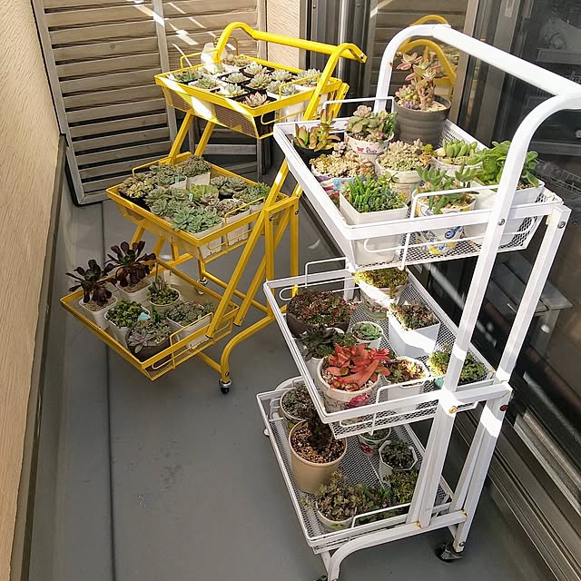 meiさんの部屋