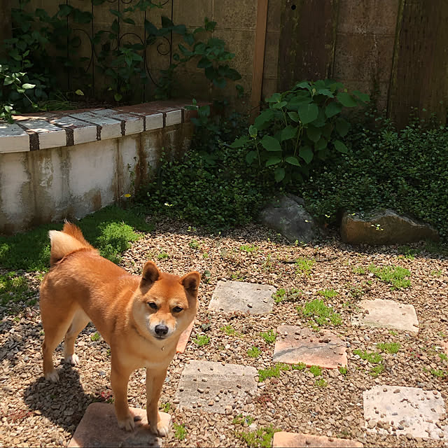 takanaさんの実例写真
