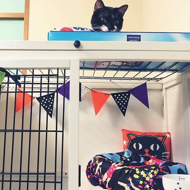 kitさんの実例写真