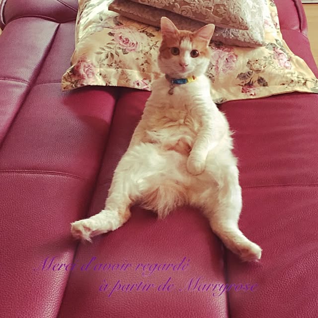 maria.rさんの実例写真