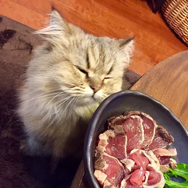 butachanさんの実例写真