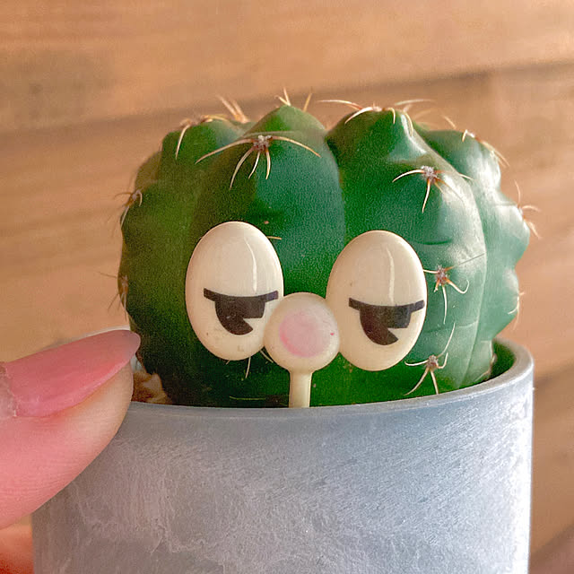 Hanakaさんの部屋