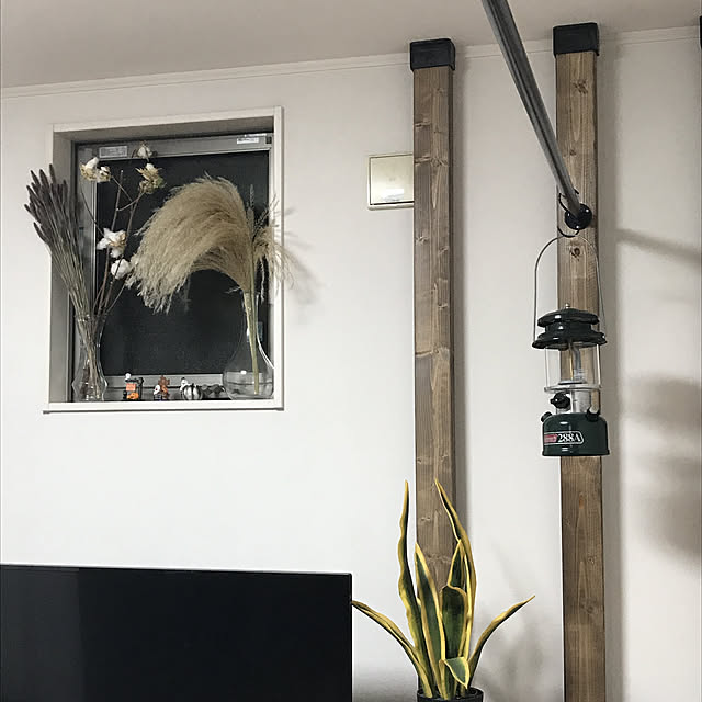 sareyuさんの実例写真