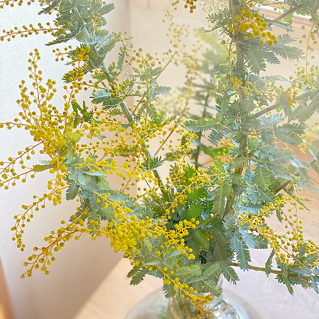 mahaloさんの実例写真