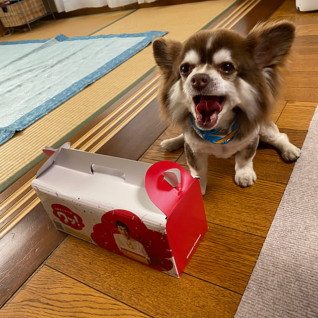 chIoeさんの実例写真
