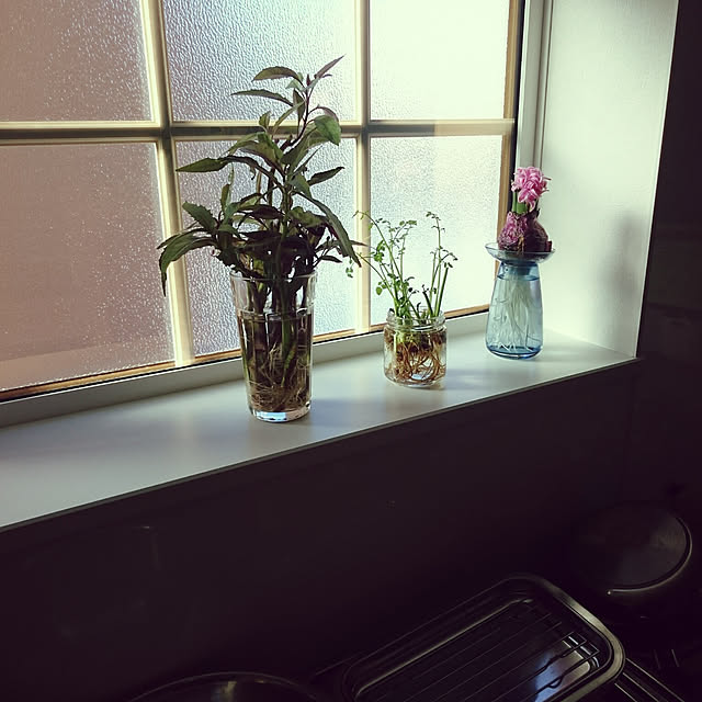 longneiさんの実例写真