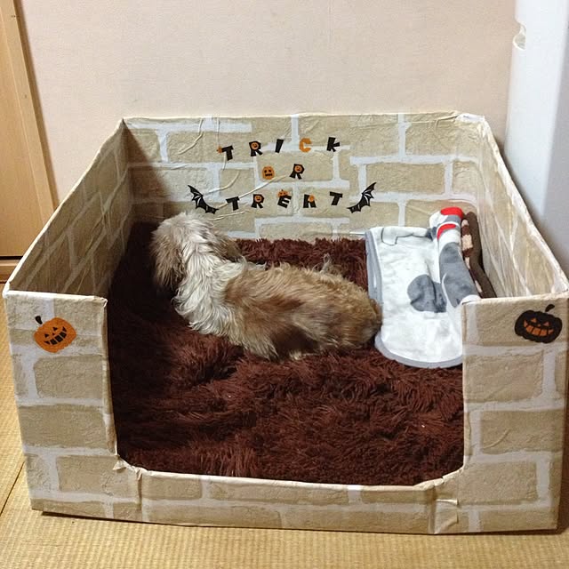 r.mamaさんの実例写真