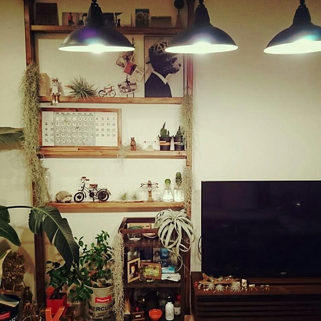 degumokoさんの実例写真