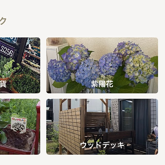 felicityさんの実例写真