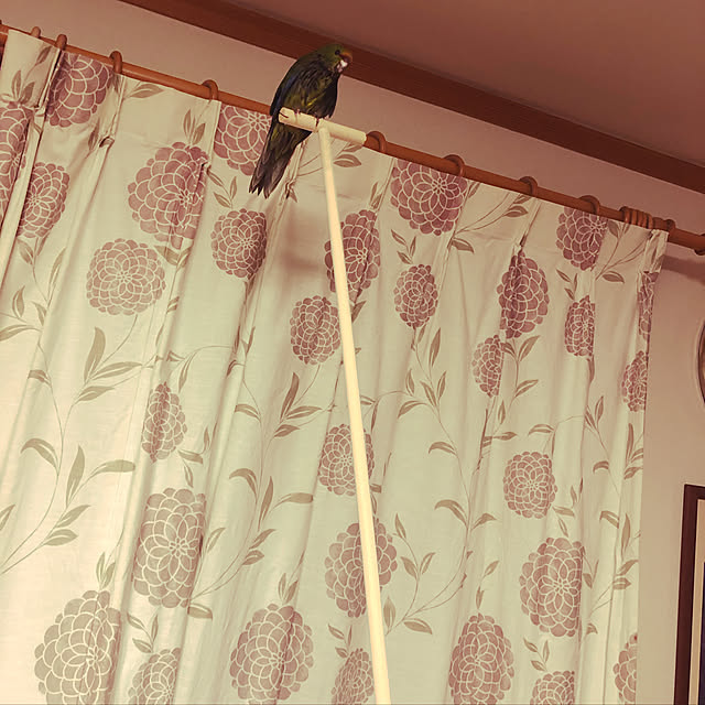 kiitosさんの実例写真
