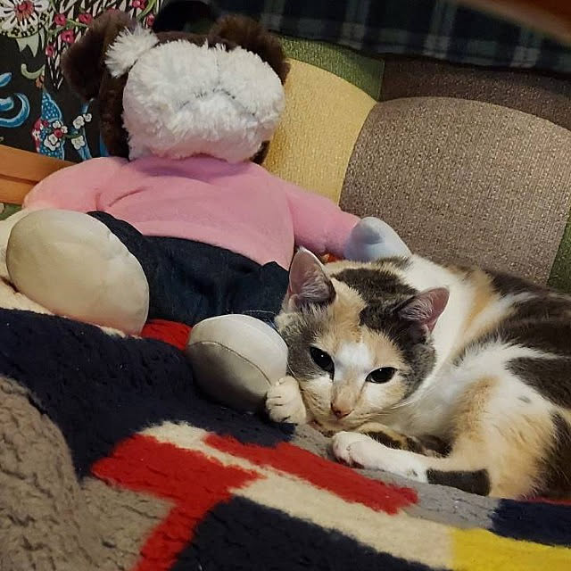 kumutanさんの実例写真