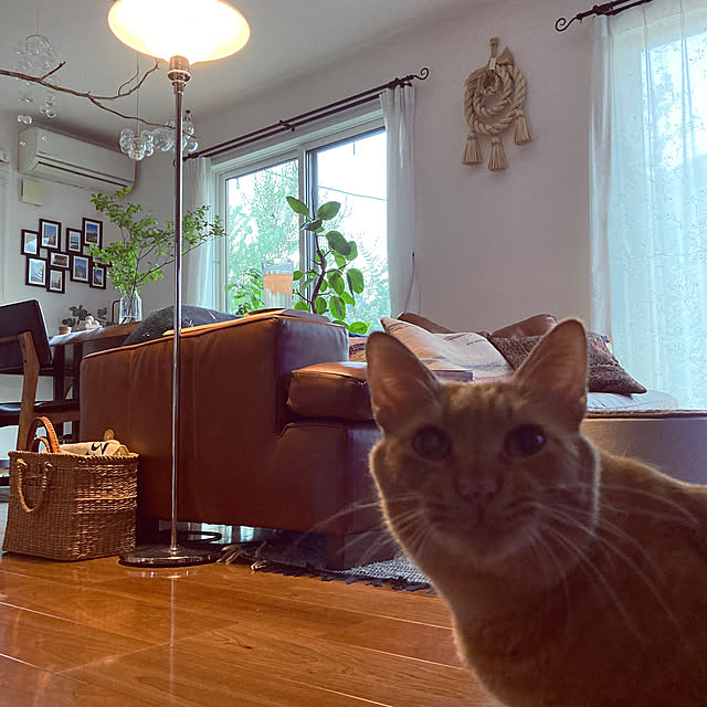 Nahochanさんの部屋