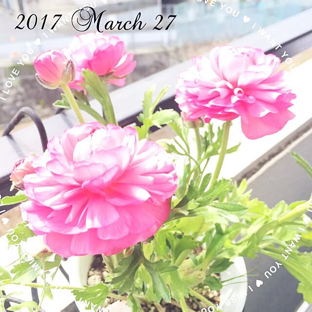 mockさんの実例写真