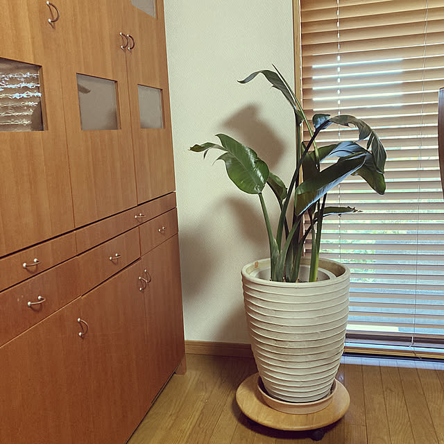 mizuyoさんの実例写真