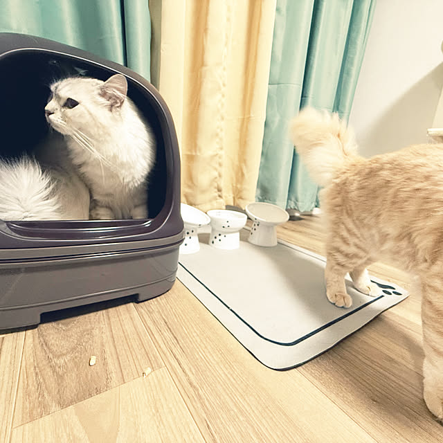 Rikkoさんの部屋