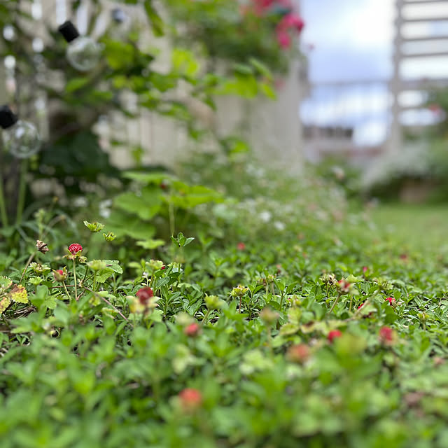 sakuraさんの部屋