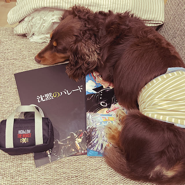 satonoriさんの実例写真