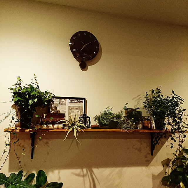 ppd.3aさんの実例写真