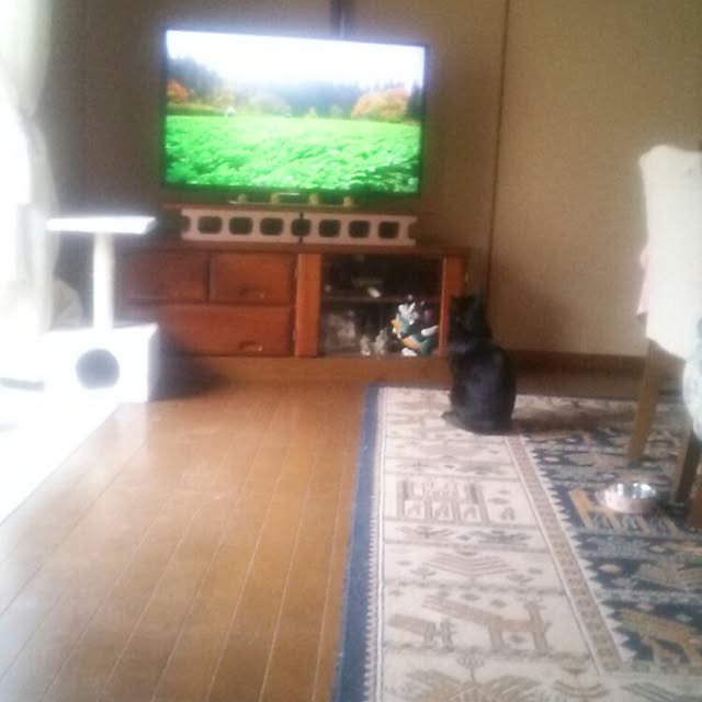 tomopさんの実例写真