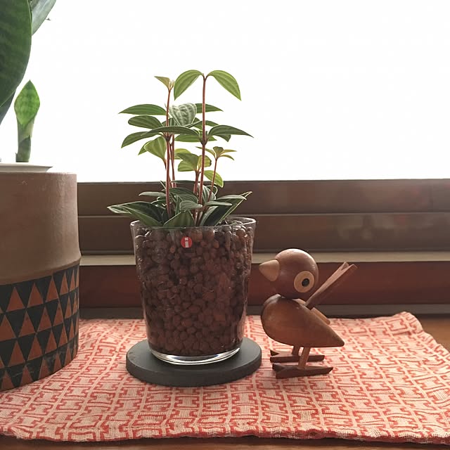 ramさんの実例写真