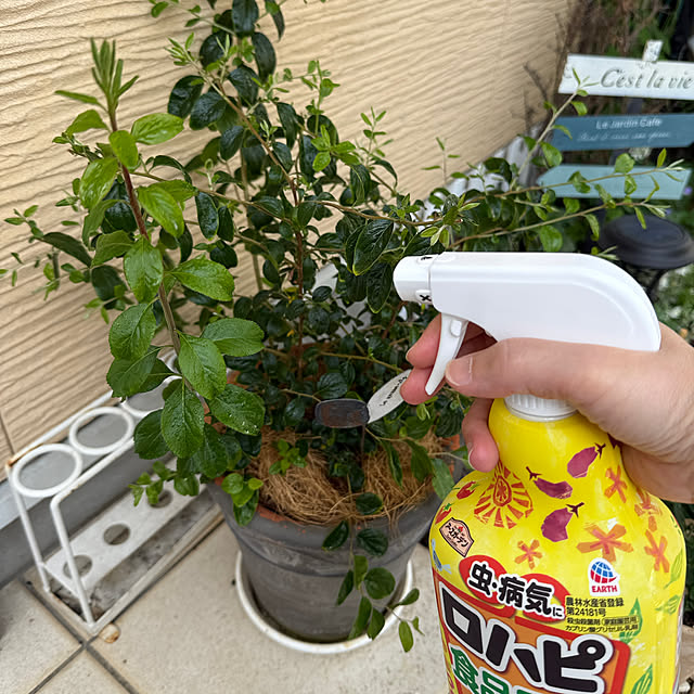 zuccoさんの部屋