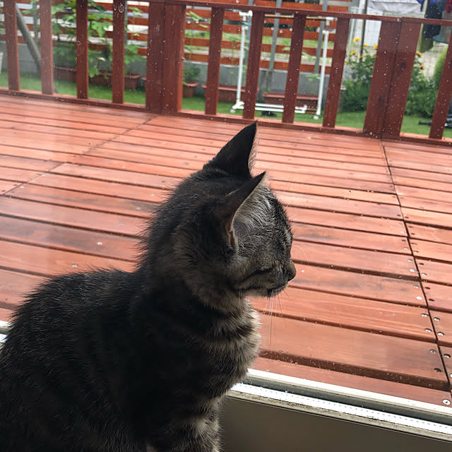 mamiさんの実例写真