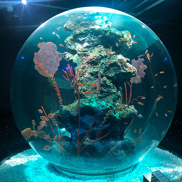 実例写真