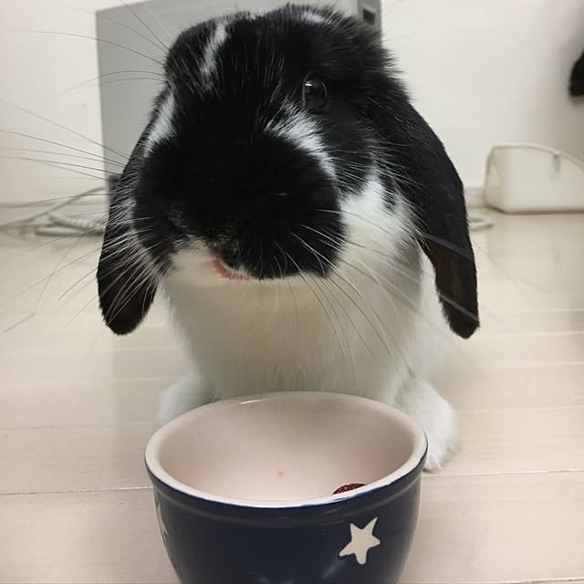 mana1021さんの実例写真