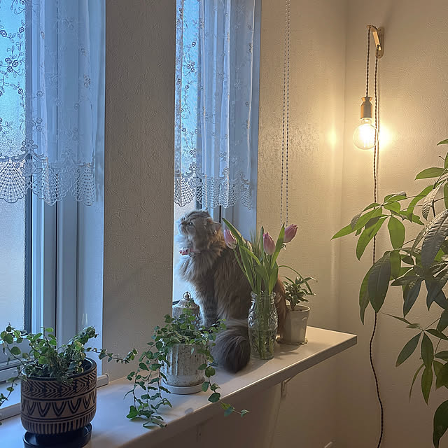 miyu39さんの部屋