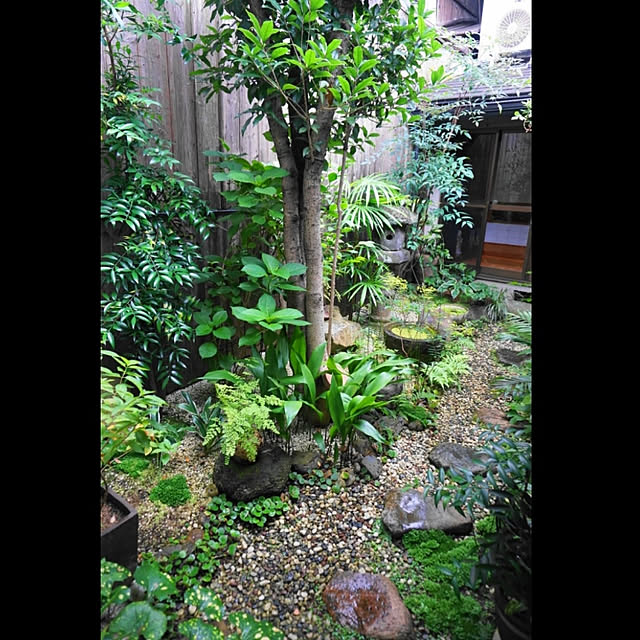 aromameさんの実例写真