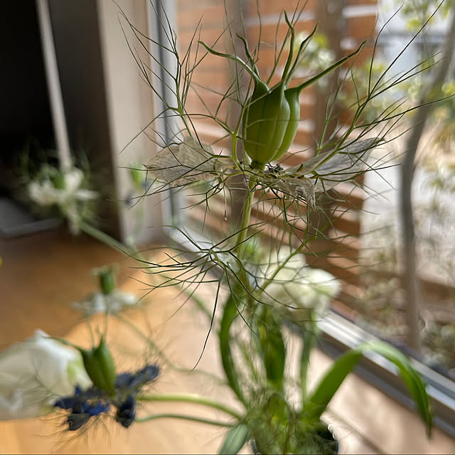 yuriireeenさんの実例写真