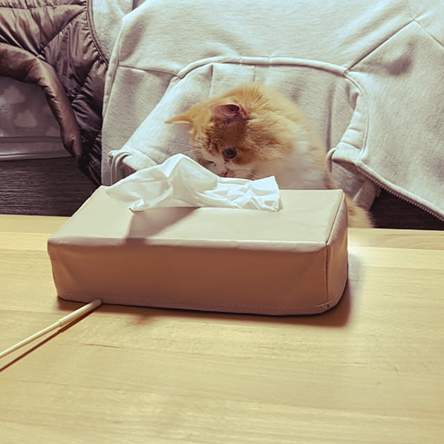 junさんの部屋