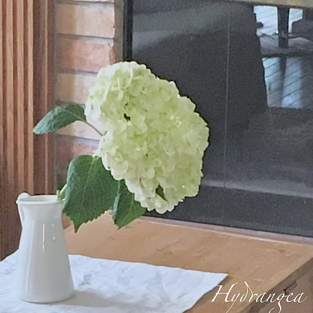 Claraさんの実例写真
