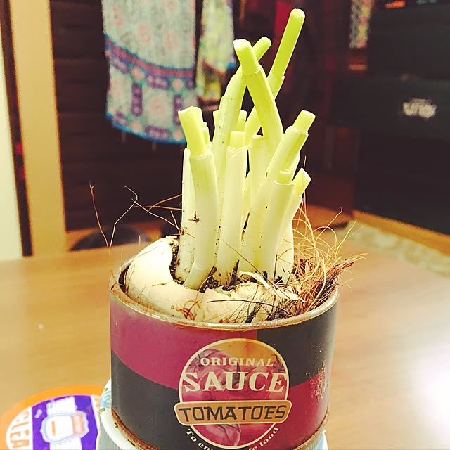 jamさんの実例写真