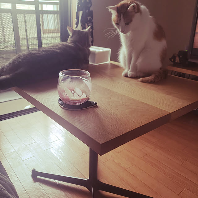 maaakoさんの実例写真