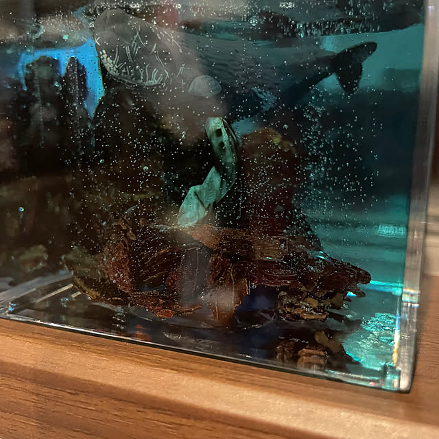 Satoruさんの部屋