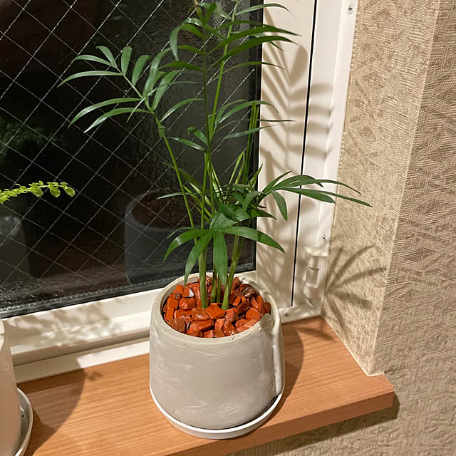 ikuzakさんの部屋