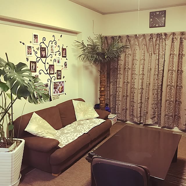 部屋全体/ナチュラル/観葉植物/100均/モノトーンのインテリア実例 - 2017-05-25 23:00:06