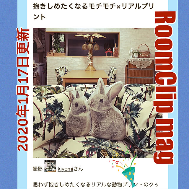 kiyomiさんの実例写真