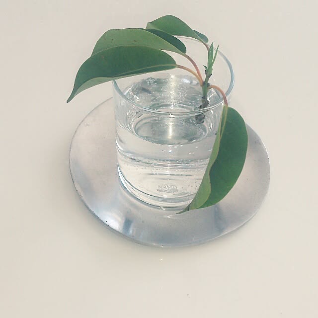 机/植物のインテリア実例 - 2014-03-11 10:40:41