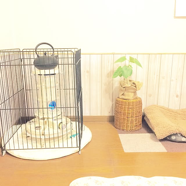 sato-chanさんの実例写真